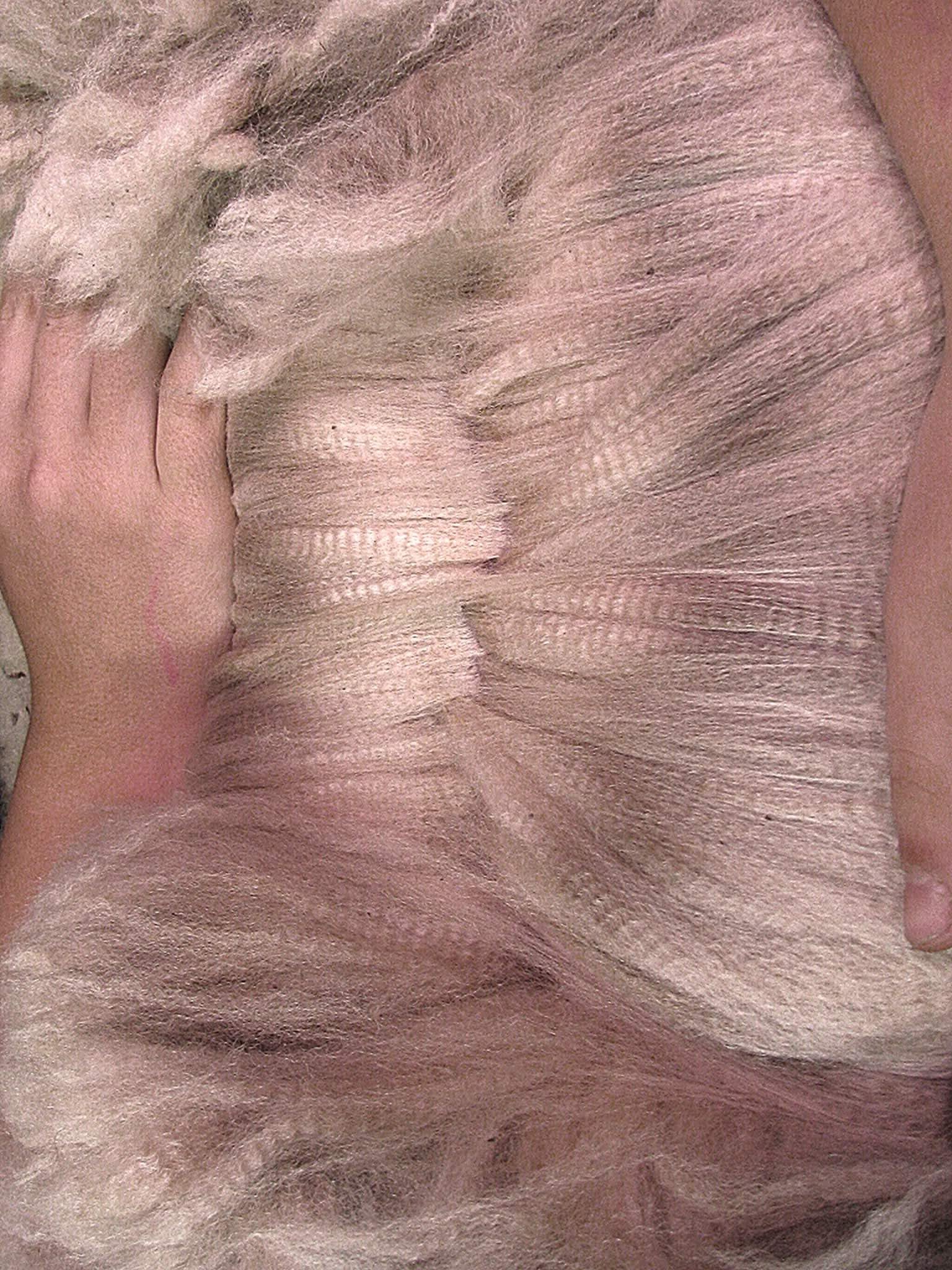 Alpaca fibre